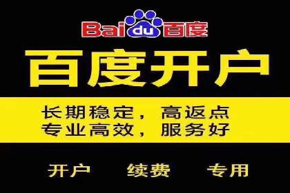 成功案例解读：SEM推广代运营策略